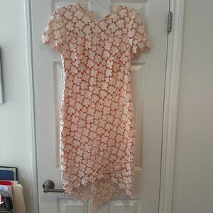 Shoshanna Blush Floral Applique Shift Dress Women's Size 6